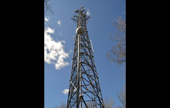 choosing a phone carrier