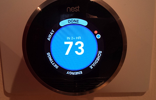 nest google