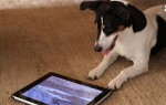 tablets for the whole family