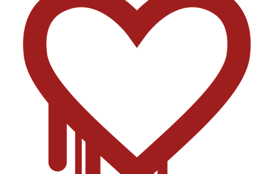 The Heartbleed Bug