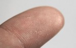 Fingerprint