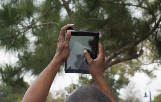 ipad and tree