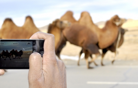 clicking away in the field with a smartphone