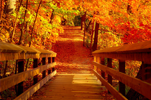 Fall Apps